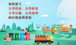 垃圾分类宣传视频,守护绿色家园——视频深度解读